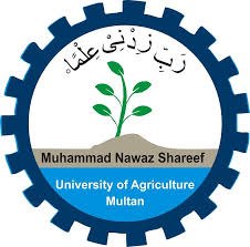 MNS University of Agriculture MS Admissions 2020