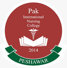 Pak International Nursing College Admissions 2020