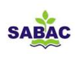 SABAC BS BBA Admissions 2020