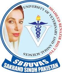 SBBUVAS DVM Admissions 2021