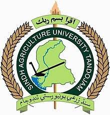 Sindh Agriculture University SAU Scholarships 2021