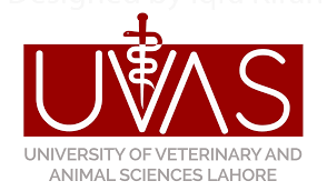 UVAS Lahore M.Phil Pet Animal Practices Schedule Exam 2021