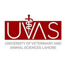 UVAS Lahore PEEF Scholarship Awardees 2021