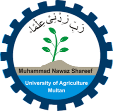 MNS University of Agriculture Multan BSc Admissions 2021-25