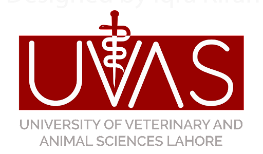 UVAS Lahore PhD Written Exam Spring 2020-21 Result