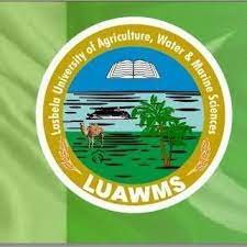 LUAWMS BS Computer Science Spring Exam 2020 Result