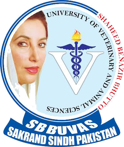 SBBUUVAS Sakrand Admissions 2021-2022