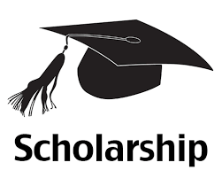 SWF FFC Merit Scholarship Scheme 2022