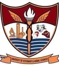 UVAS City Campus Pharm D Semester 1st Exam 2023 Result