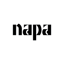 National Academy of Performing Arts NAPA Admissions 2023