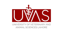 UVAS Livestock Assistant Diploma Date Extension 2023