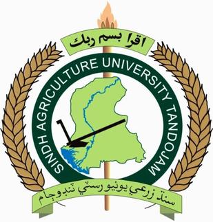 Sindh Agriculture University Diploma Admissions 2023