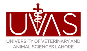 UVAS MPhil PhD 1st Merit List 2023