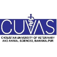 Cholistan University of Veterinary and Animal Science BS 2nd Merit List 2023