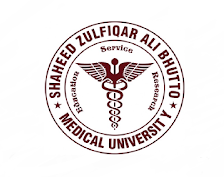 Shaheed Zulfiqar Ali Bhutto Medical University MDCAT Results 2023