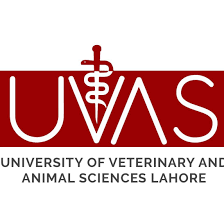 University of Veterinary and Animal Sciences UVAS Lahores Admission 2023