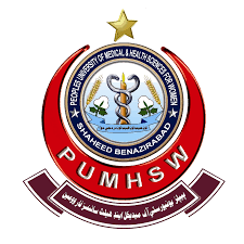 PUMHS Peoples University of Medical & Health Sciences MBBS Admission 2023-24