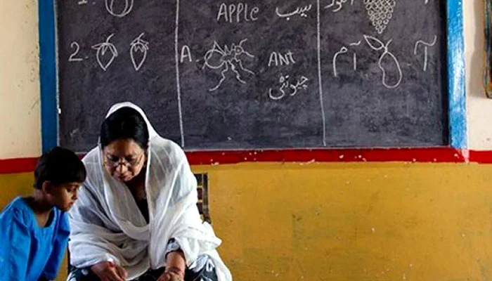 Sindh Government Introduces Teaching Licenses