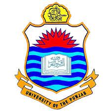 University of the Punjab  MS MSc MFA  MPhil PhD  Admission 2024