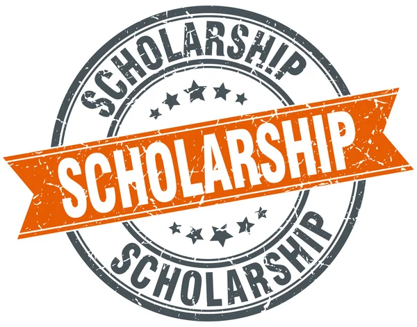 Study in Italy University of Pavia Scholarships 2024