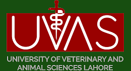 UVAS DVM Semester I Final Term Exam Date Sheet 2024