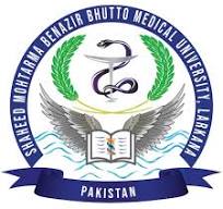 SMBBMU Final Professional MBBS Final Annual Result 2024