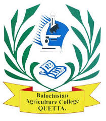 Balochistan Agriculture College BAC Quetta MSc Admission 2024