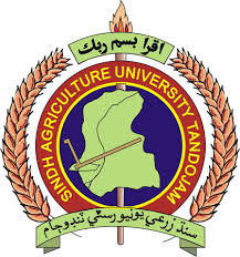 Sindh Agriculture University BS BSc BE DVM BSIT Admissions 2024