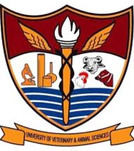 University of Veterinary & Animal Sciences UVAS DVM BBA BS Merit List 2024