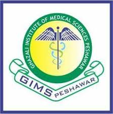 Ghazali Institute of Medical Sciences Peshawar BS BSN DPT Admission 2024