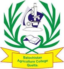 Balochistan Agriculture College BSc Hons Agriculture Admissions Open 2024