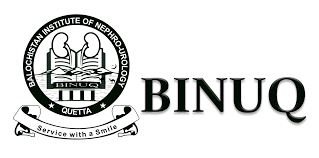 BINUQ Seeks Dynamic Leader: Apply for Chief Executive Officer by March 5 2025