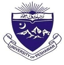 UoP MA MSc Annual Exams 2024 Result 2025